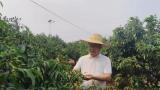 如何预防拼搏app下载手机版登录恶性