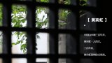 权益全面进阶