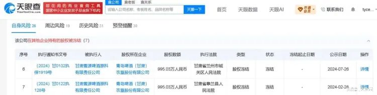 出现股东股权司法冻结的工商登记记录