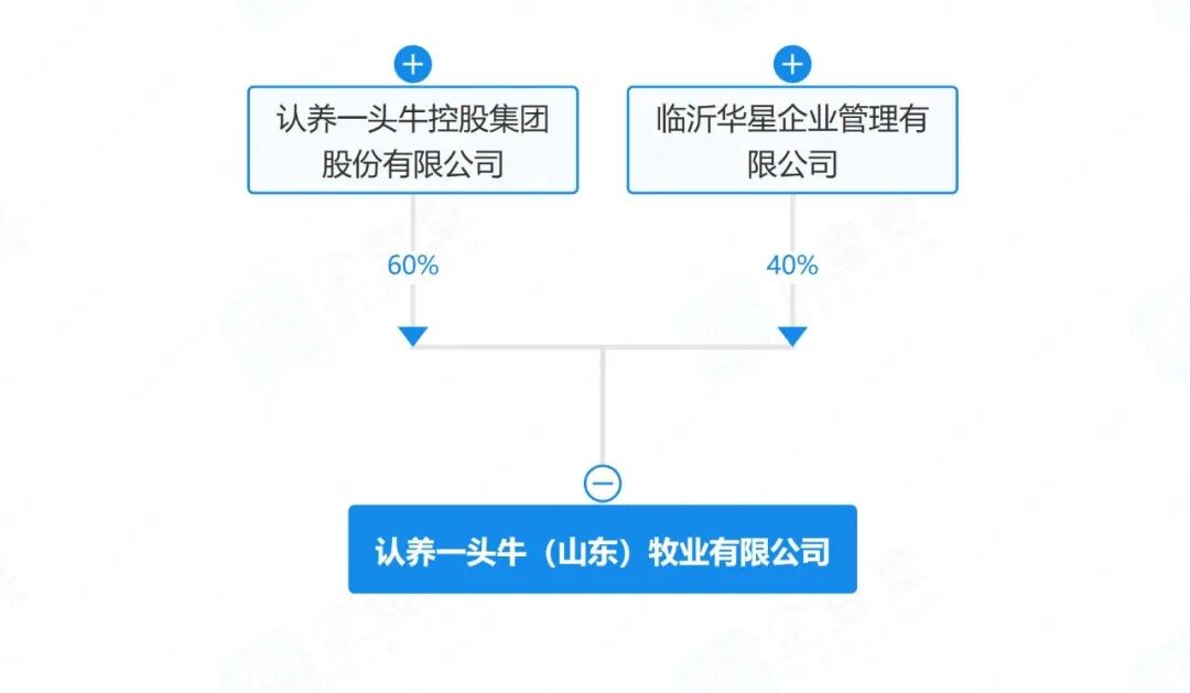 企查查查询显示