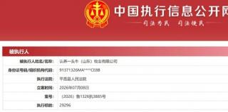山水圈2025（系列25），唐文国
