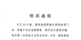 山水圈2025（系列25）