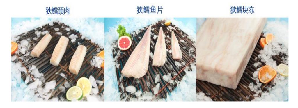 拼搏app下载使用方法实现营业收入4