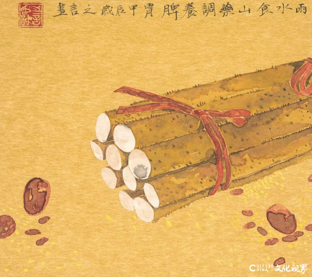 拼搏手机版下载